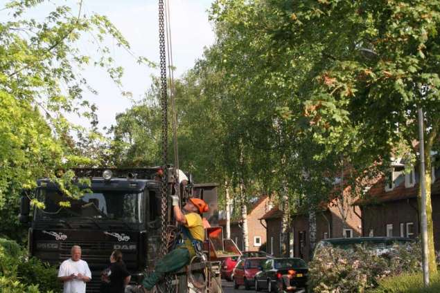 boom rooien door antoon van spelde en harrie van wijk